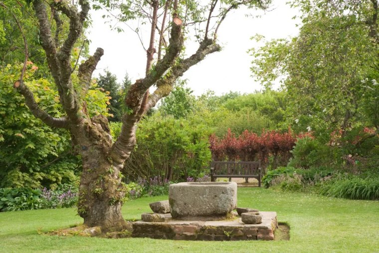 comment faire pourrir vite les racines d un arbre