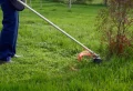 Pourquoi laisser l’herbe coupée au sol du gazon ? Utilisez cette ressource d’or, naturelle et gratuite !