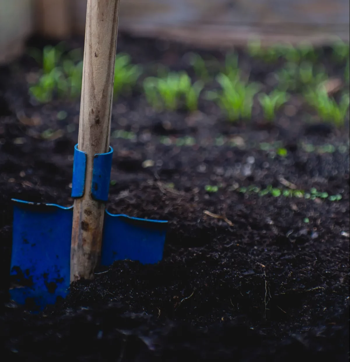ajouter du compost au potager permaculture idée nourrir le sol