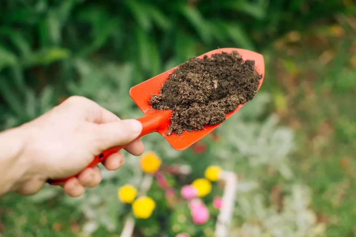 amendement sol terreau compost fumier poule jardinage fertilisation plantes