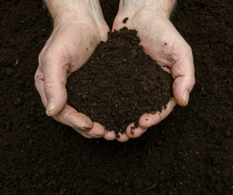 aqjouter du compost pour fetriliser le sol astuces de grand mere jardinage printemps