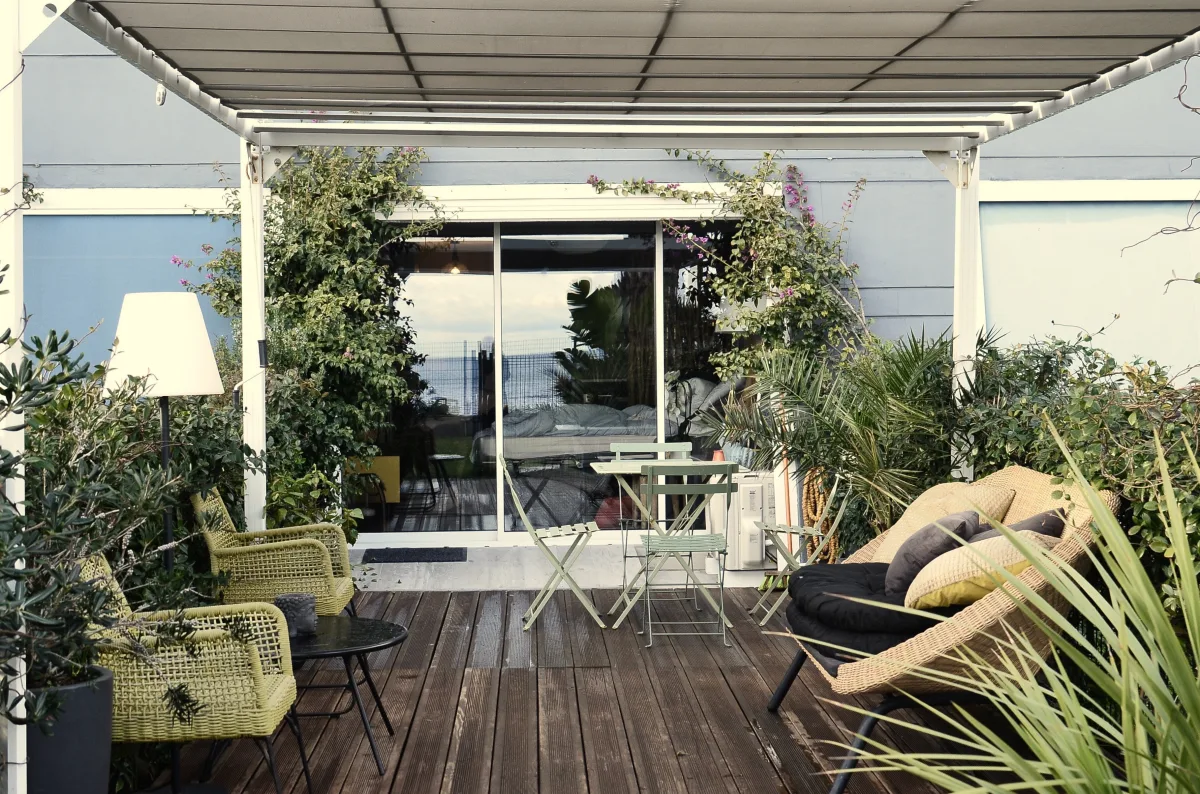 Plantes d'extérieur pour la terrasse : notre liste des 20 plus belles