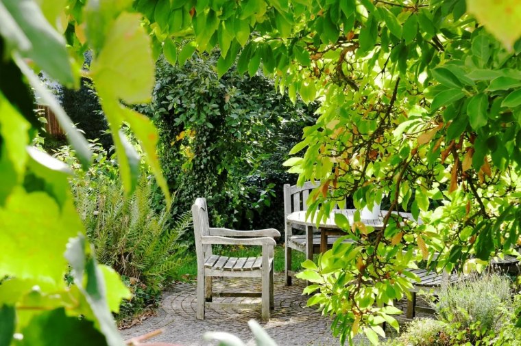 arbustes pour brise vue jardin intimite gazon meuble exterieur bois