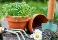 Les 8 erreurs à ne pas faire dans son jardin au printemps