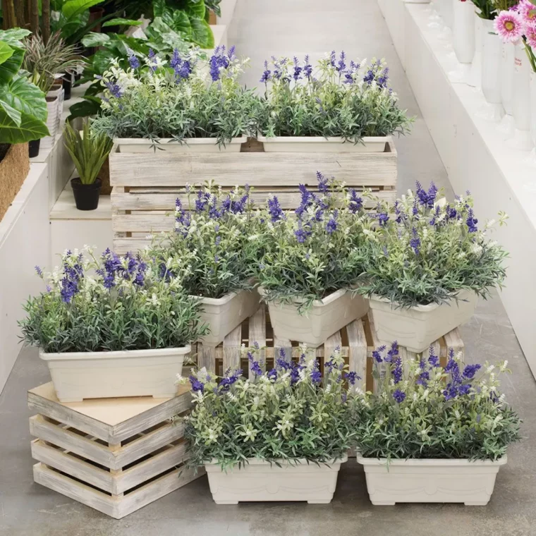 balcon plantes plein soleil sans arrosage