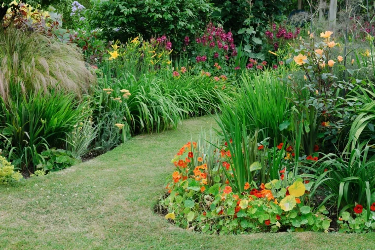 bordure de jardin naturelle fleurs ornages herbes et feuilles vertes