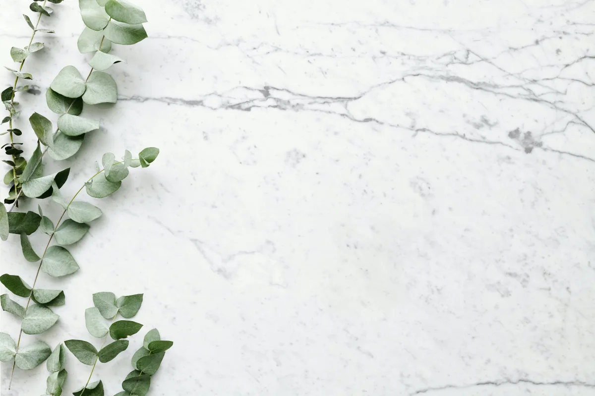 branche d eucalyptus design cuisine comptoir nettoyage marbre tache