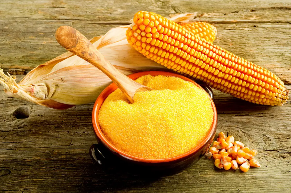 ¿Cuánto tiempo funciona el herbicida en un tazón de gluten de maíz?
