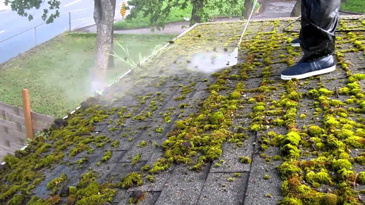 comment fabriquer de l'anti mousse pour toiture homme traite mousse sur toit en jet deau