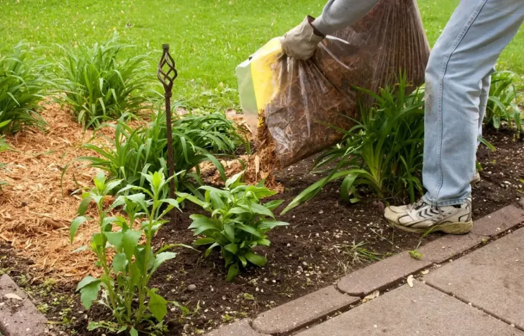 comment faire du desherbant soi meme un melange de vinaigre dans le jardin