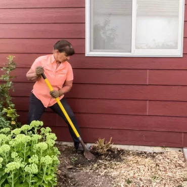 femme qui souleve la souche d un arbuste facade maison bordeaux