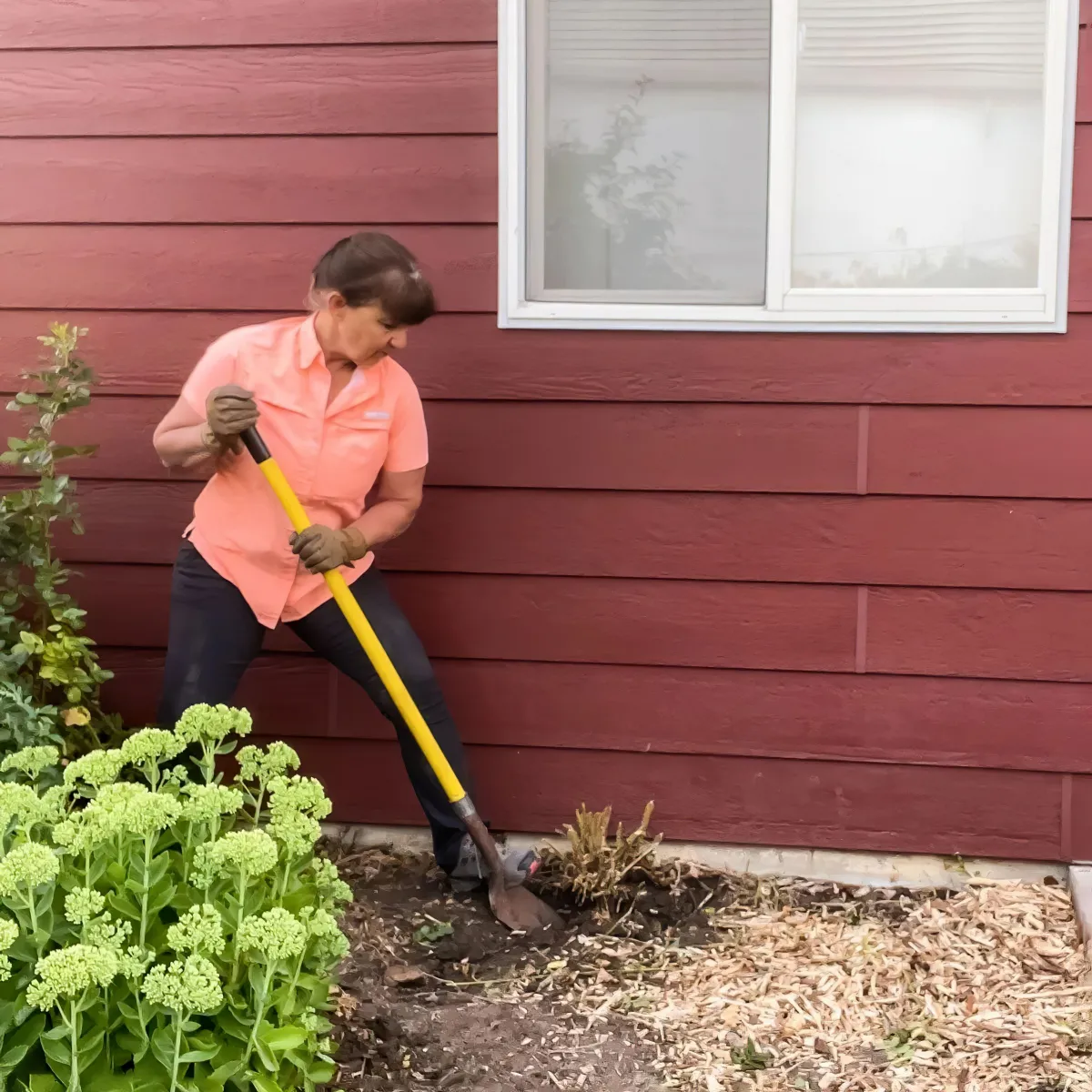 femme qui souleve la souche d un arbuste facade maison bordeaux