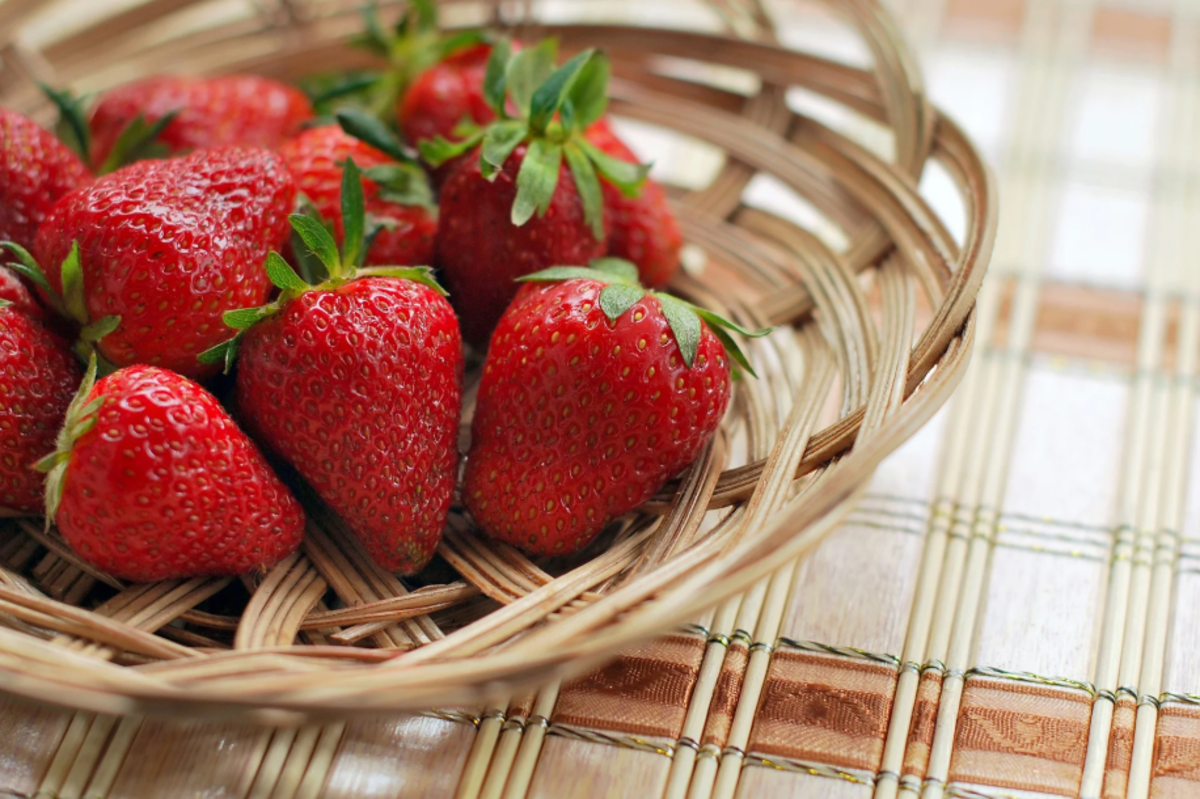 fraises cultivées chez soi