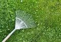 Еst-ce que le mulching est bon pour la pelouse ? Voici pourquoi et quand l’effectuer