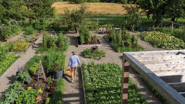 grand potager avec differents legumes arbre fruitier un homme qui marche