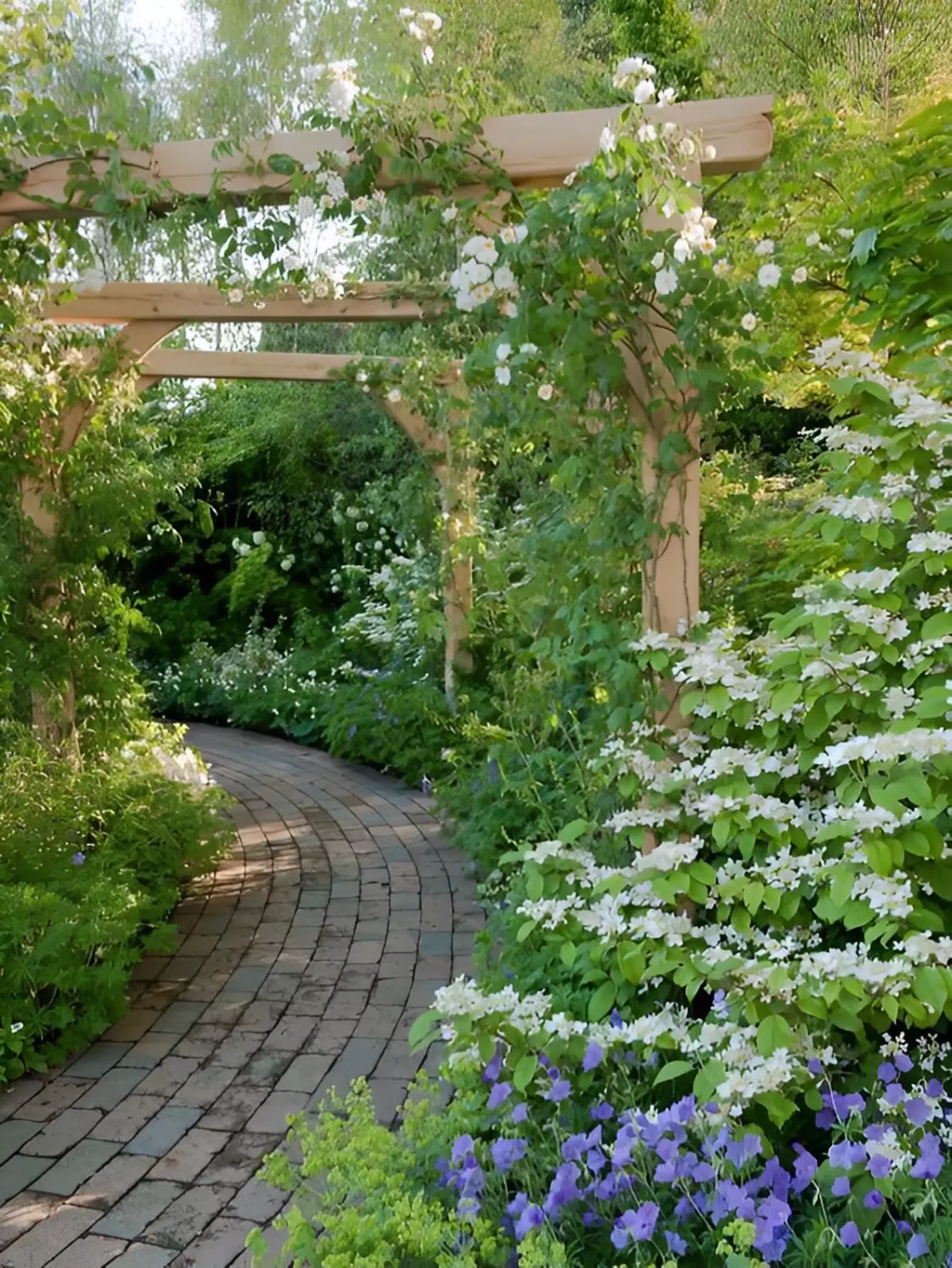 jardin verdoyant avec du jasmin etoile a fleurs blanches a droite et d autres plantes compagnes