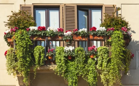 les plantes pour un balcon qui résistent en plein soleil sans arrosage joli balcon plein de soleil en fleurs