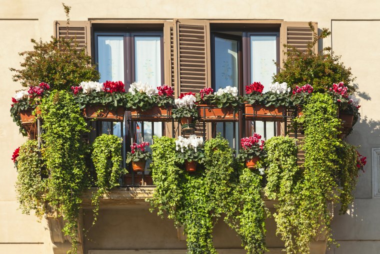 balkon sichtschutz mit pflanzen