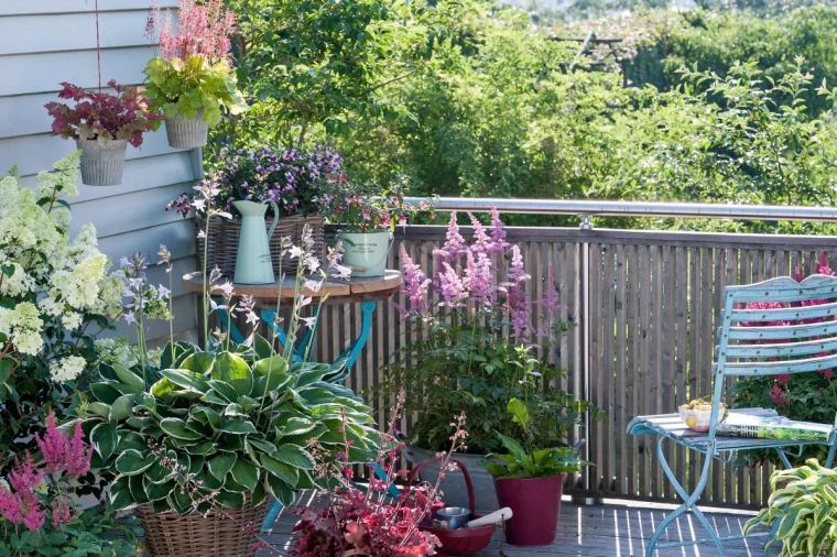 meilleure plante brise vue qui pousse vite en bac balcon verdure