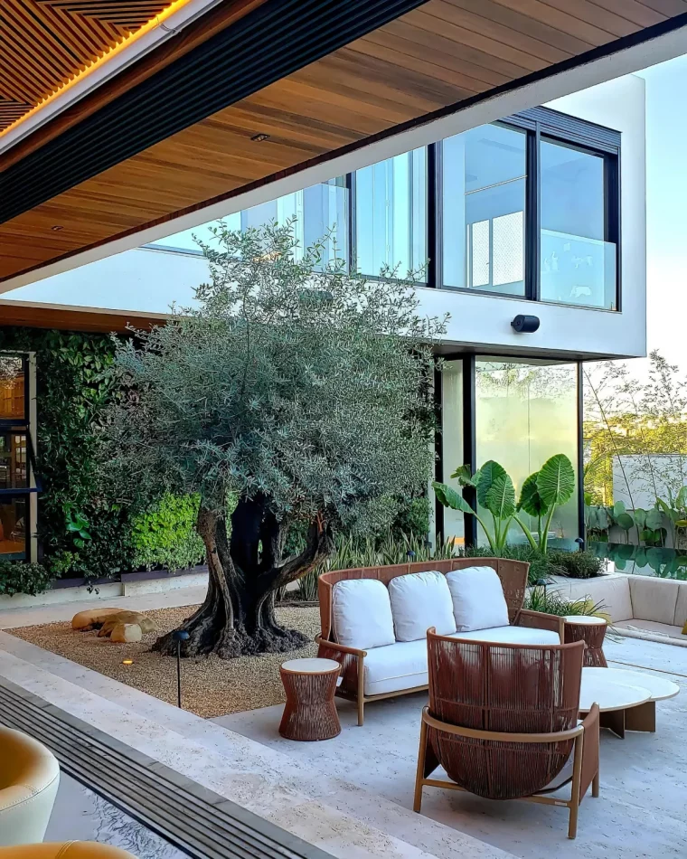 meubles salon de jardin en bois et blanc olivier en pleine terre