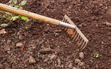 outil de jardin rateau preparation terrain sol derherbages plantation