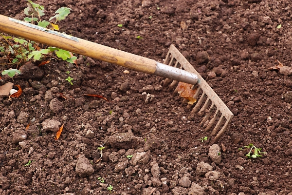 outils de jardin rameau bois terrain sol traitement preparation
