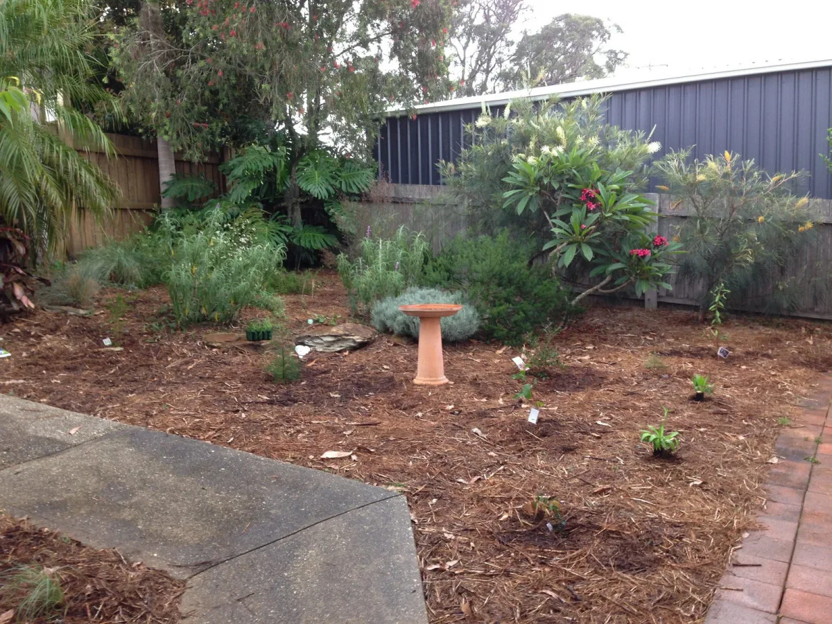 paillage jardin pour remplacer le gazon aménagement devant jardin sans pelouse