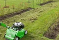 Comment et quand scarifier la pelouse au printemps pour qu’elle repousse saine et vigoureuse