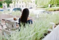 Plantes brise-vue balcon : nos 5 coups de cœur pour plus d’intimité et de charme