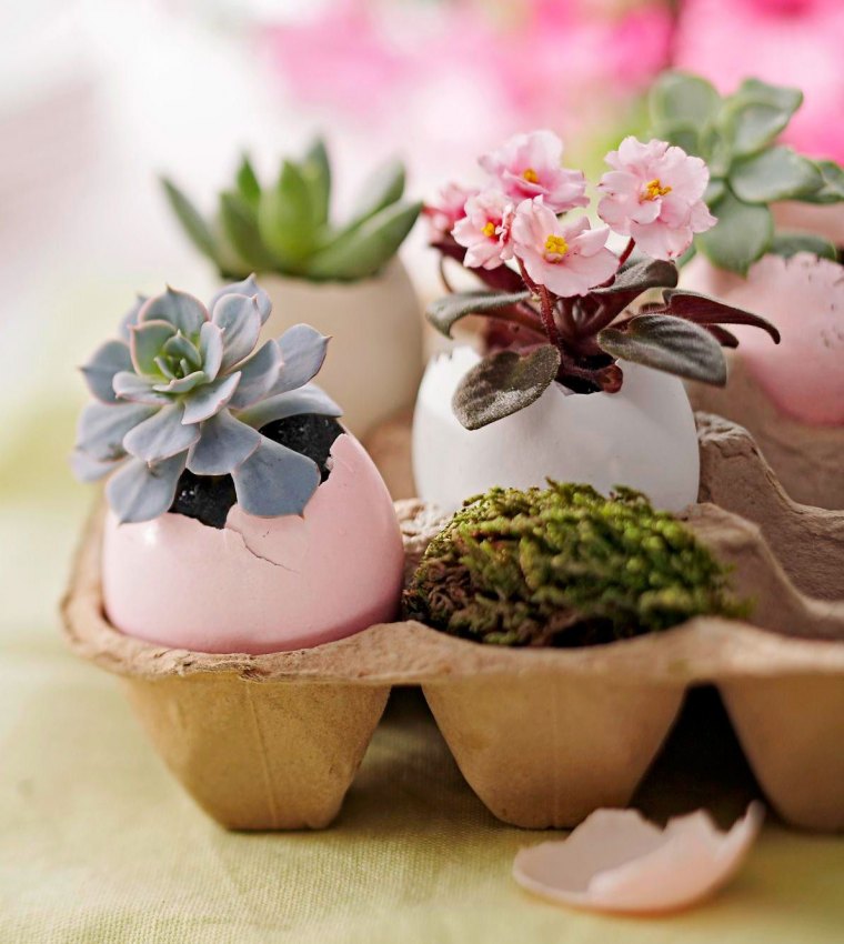 pot de fleurs avec coquilles fleurs et verdure