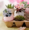 pot de fleurs avec coquilles fleurs et verdure
