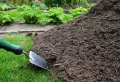 Quand mettre du compost au jardin pour booster la croissance des plantes