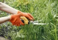 Еst-ce que le mulching est bon pour la pelouse ? Voici pourquoi et quand l’effectuer