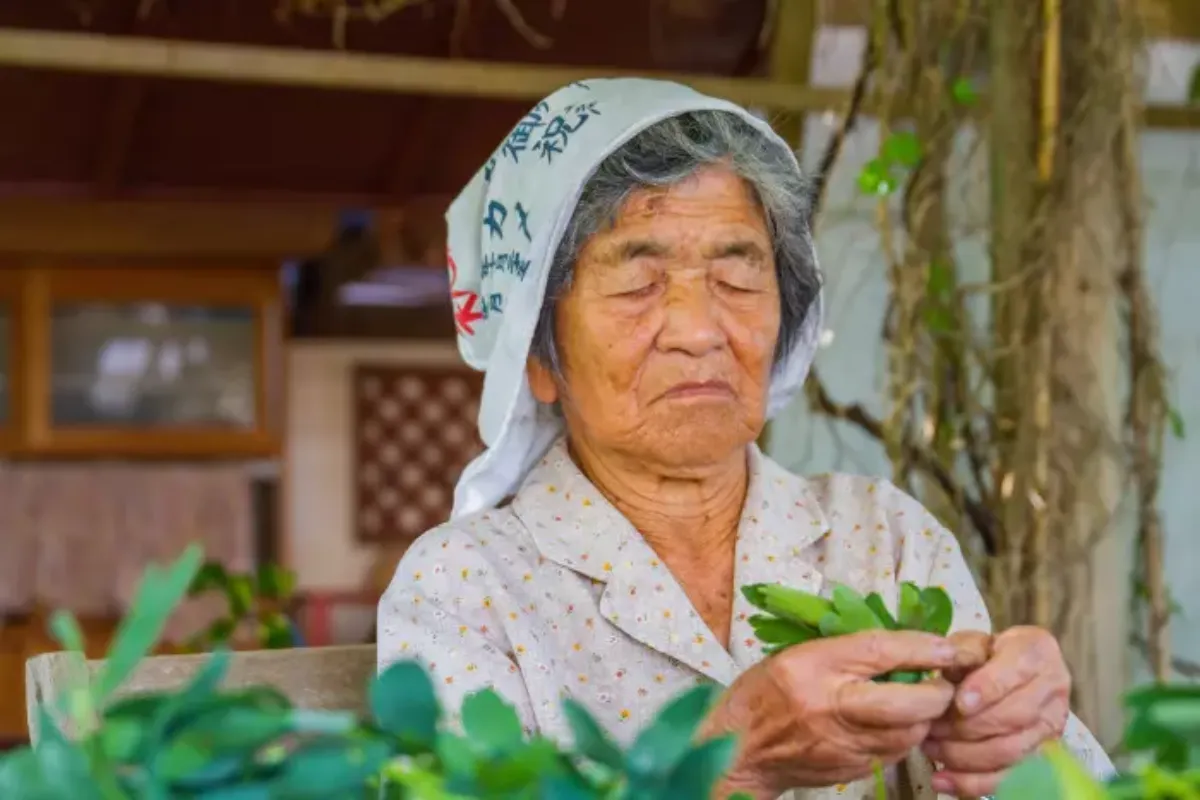 que mangent les centenaires japonais japonaise agee tient deslegumes