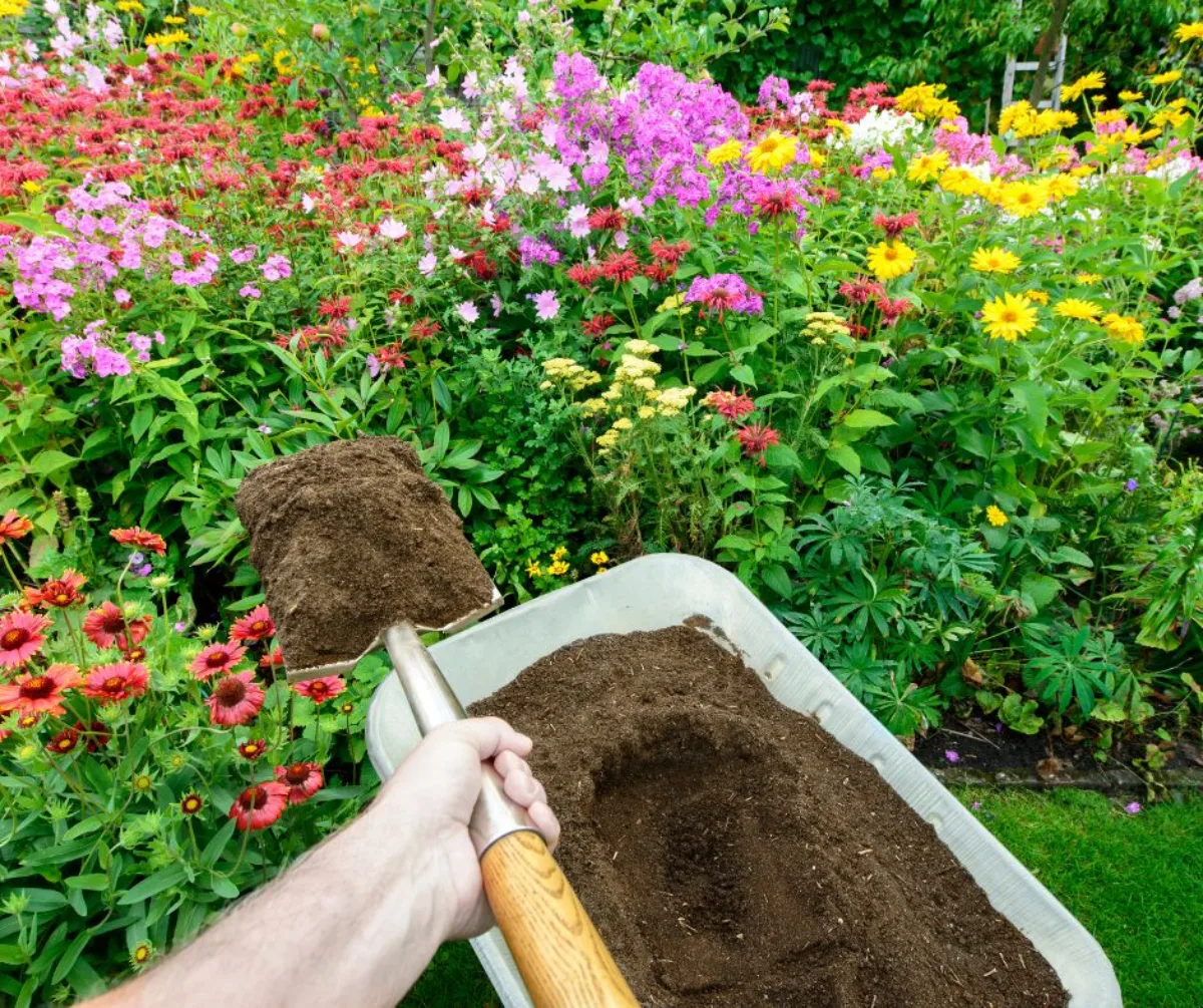 que mettre dans un compost idée amendement naturel dans le jardin