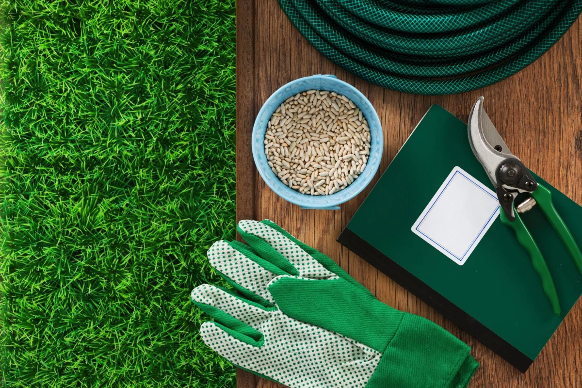 quelle est la meilleure pelouse qui pousse plus vite gants graines cachier vert