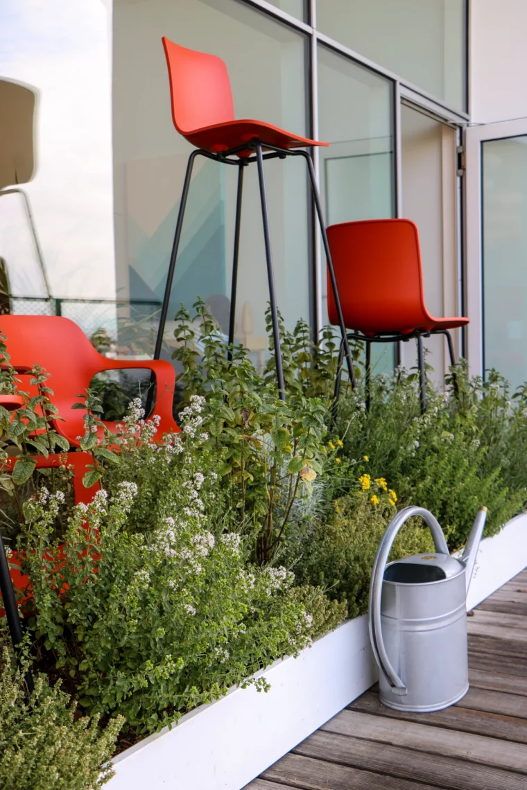 quelle plante dans jardiniere haute fenetres fleurs vertes chaises rouges