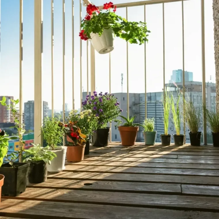 quelles plantes pour balcon orienté sud