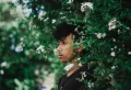 Que planter pour avoir une haie haute avec des racines peu envahissantes ?
