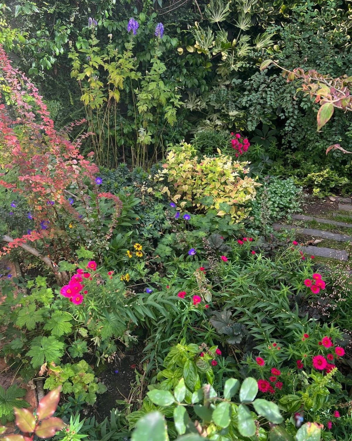 un jardin vert avec des arbustes et des fleurs