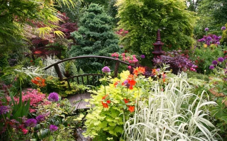 comment faire un jardin à l'anglaise passerelle ala vegetation