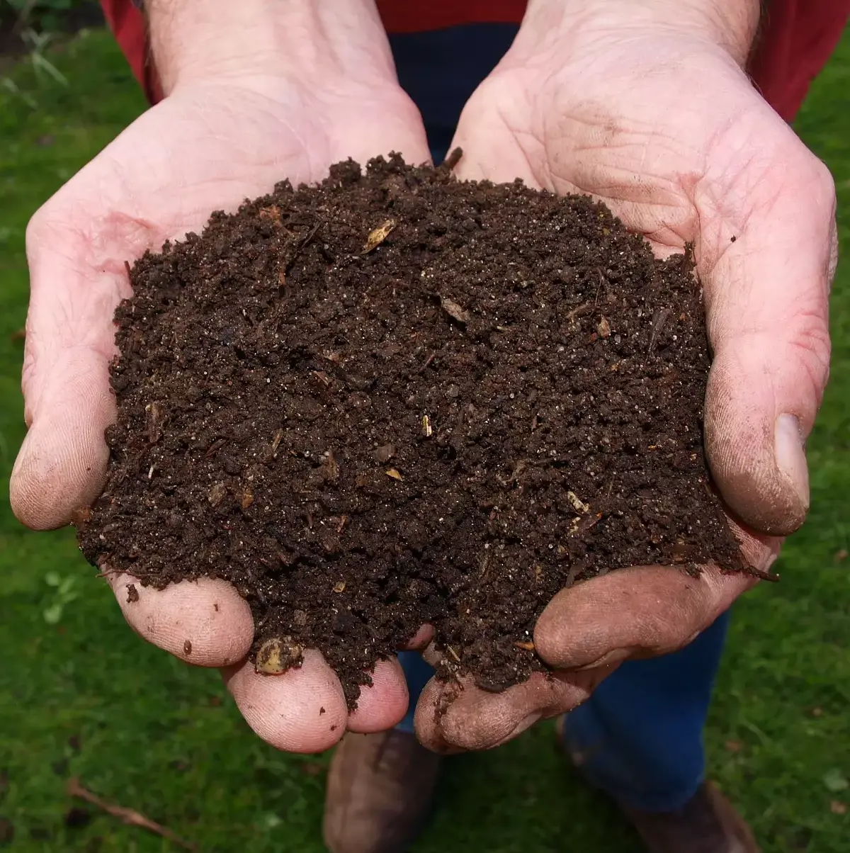 compost dans les mains d'un jardin astuces pour faire le compost sans bac