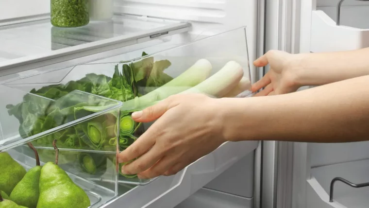 est ce que la laitue est bonne pour la santé main mat legumes aufrigo