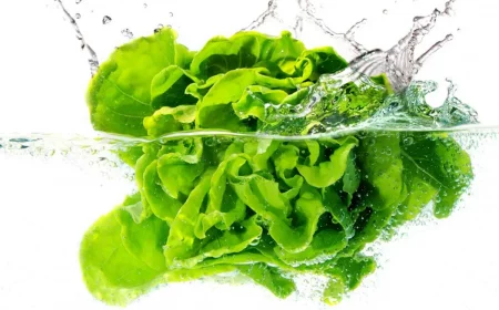 est il bon de manger de la salade verte salade trempee dans un pot