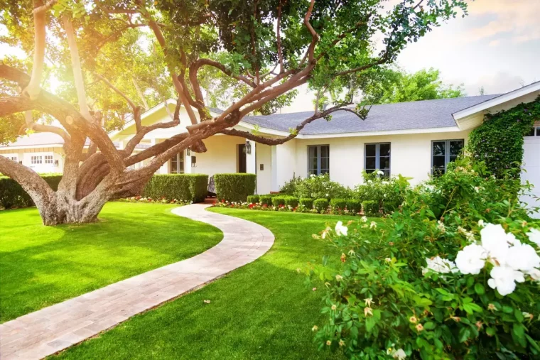 jardin paysager devant une maison lors d'une journee ensoleillee