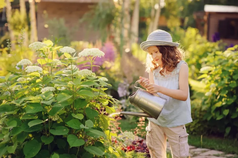 quel support pour un hortensia grimpant femme pres dun mur dortensias