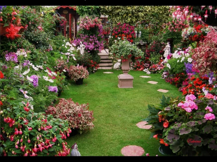 quelles sont les graines de fleurs qui poussent le plus vite jardin pittoresque devant maison