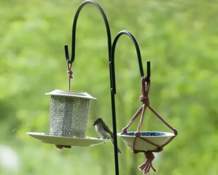 abreuvoir pour oiseaux dans un jardin comment attirer les oiseaux dans son jardin