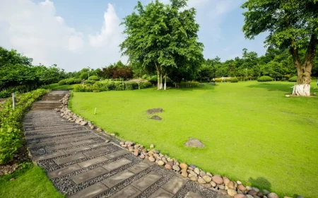 amenagement paysager jardin pelouse arbres bordure pierres pavage beton