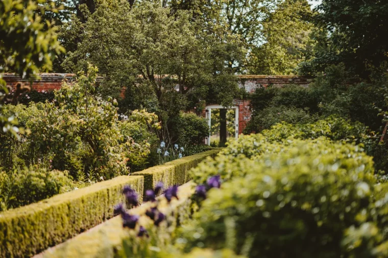 bordure de jardin en buis exemple de plante arbuste pour jardin sans entretien